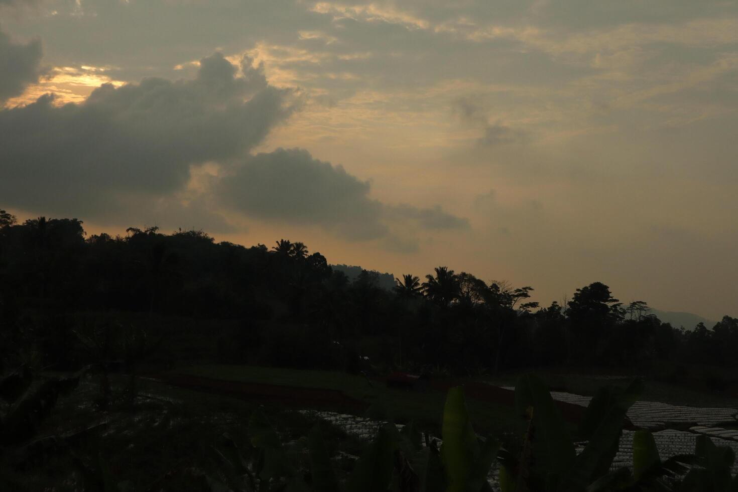 A plane flying over a field with trees and a sky photo