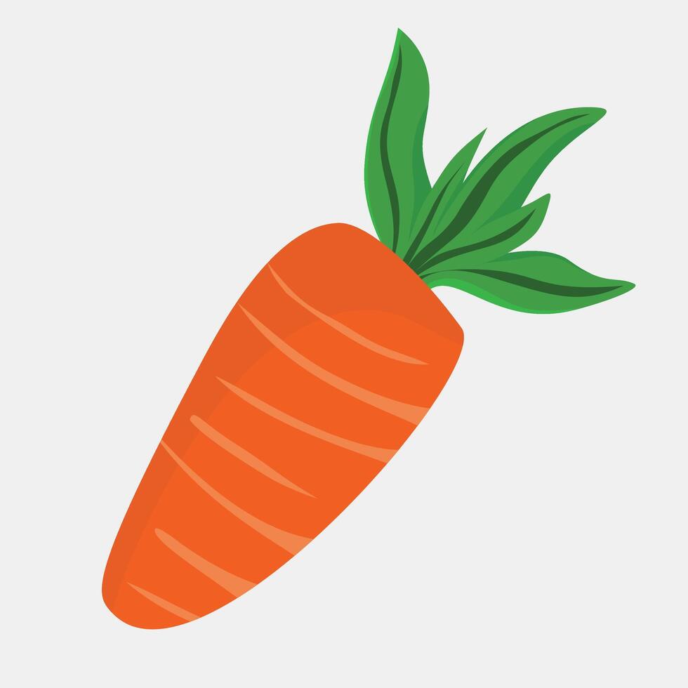 Fresh Carrot with Green Leaves in Natural Organic Style for Food and Health Themes vector