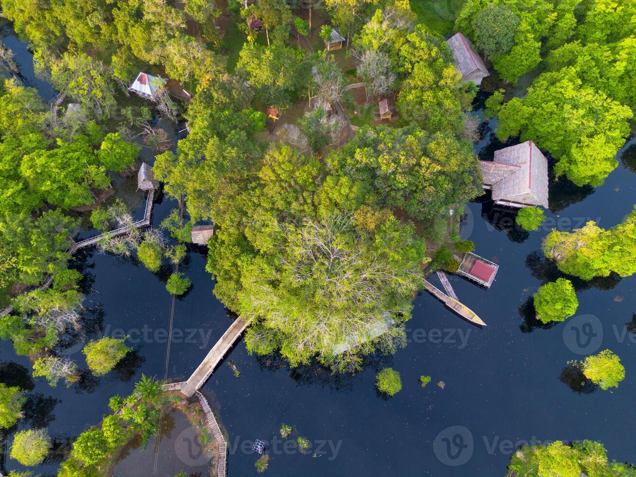 A tree is in the middle of the water photo