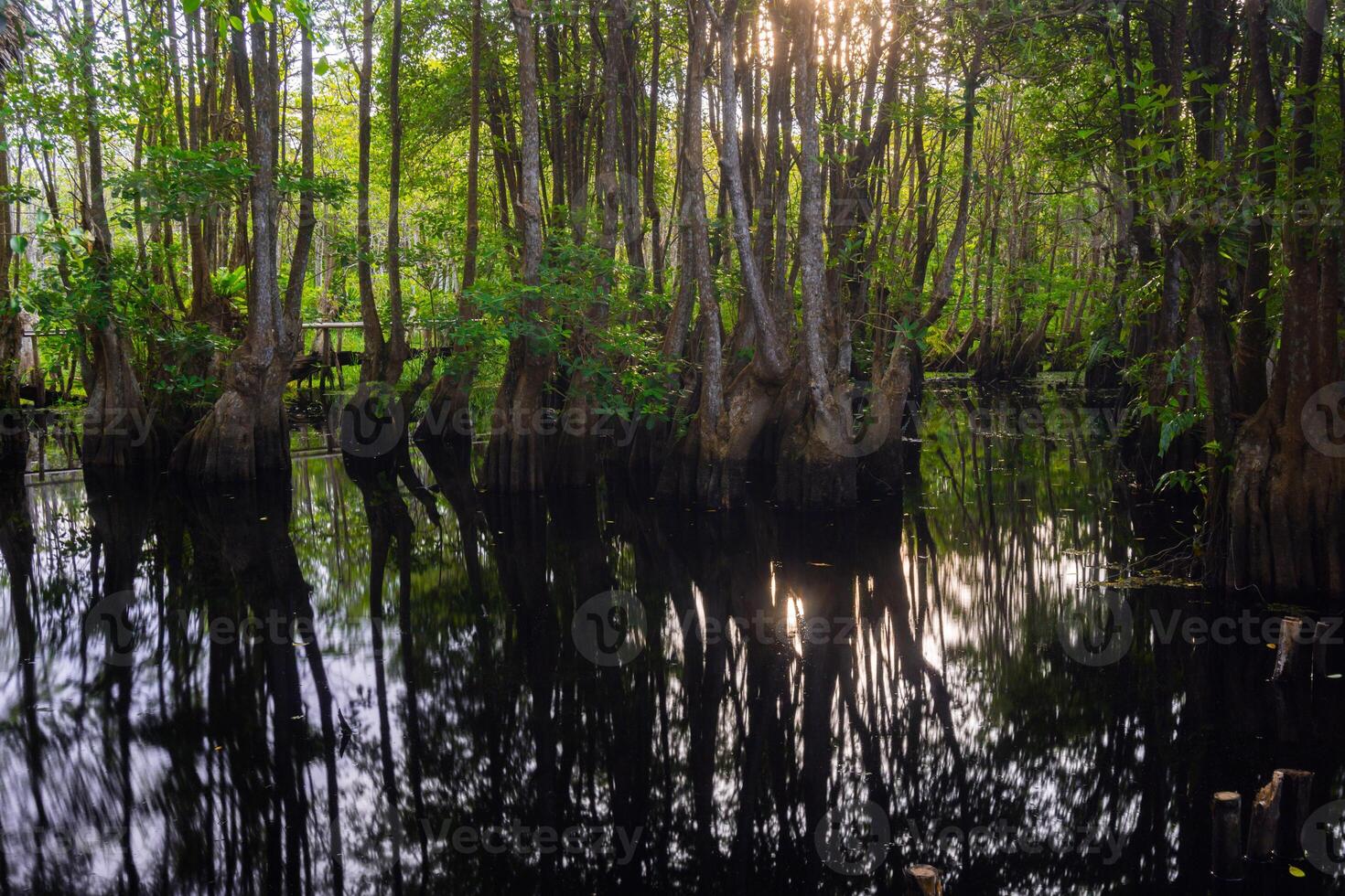 A boat is in the water with trees in the background photo