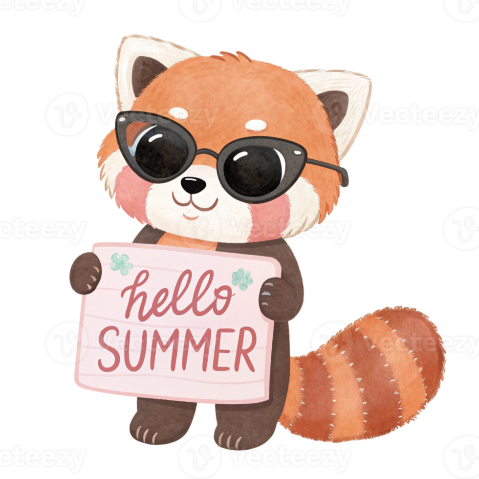 A cute red panda holding a hello summer sign png