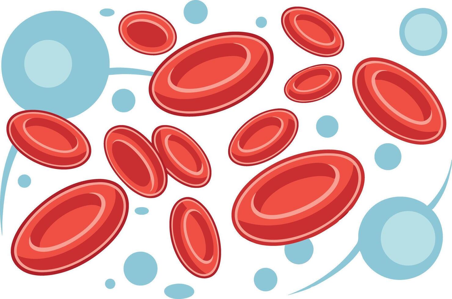Red blood cells vector