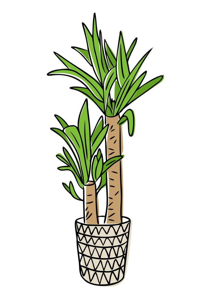 Indoor potted palm plant with long green leaves and textured stems in hand drawn style. Concept of home decor, tropical greenery, and indoor nature aesthetic vector