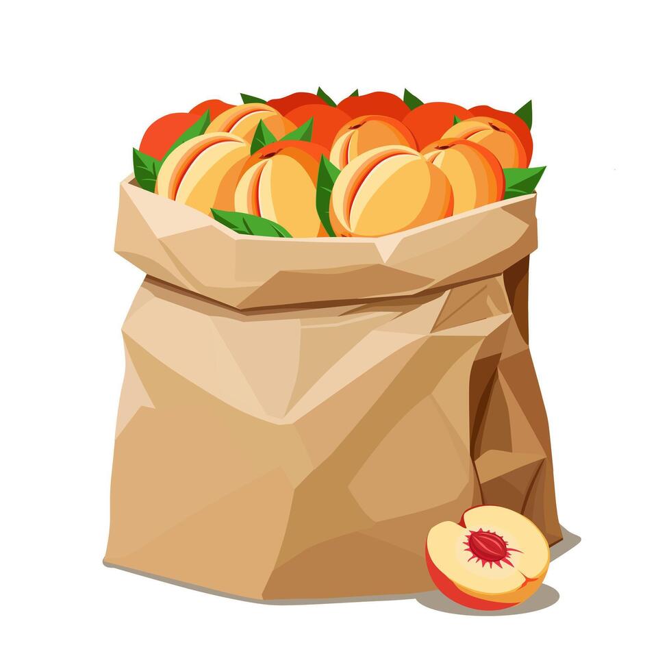 Paper bag full of juicy red peaches isolated on white background. fruit illustration in flat style. Summer clipart for diet design, healthy lifestyle, nutrition vector