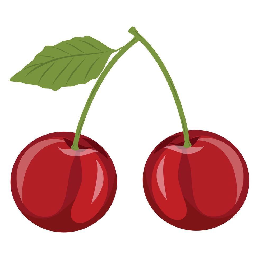 Sweet and fresh cherry berries with leaf, isolated illustration on a white background, hand drawn cherry icon vector