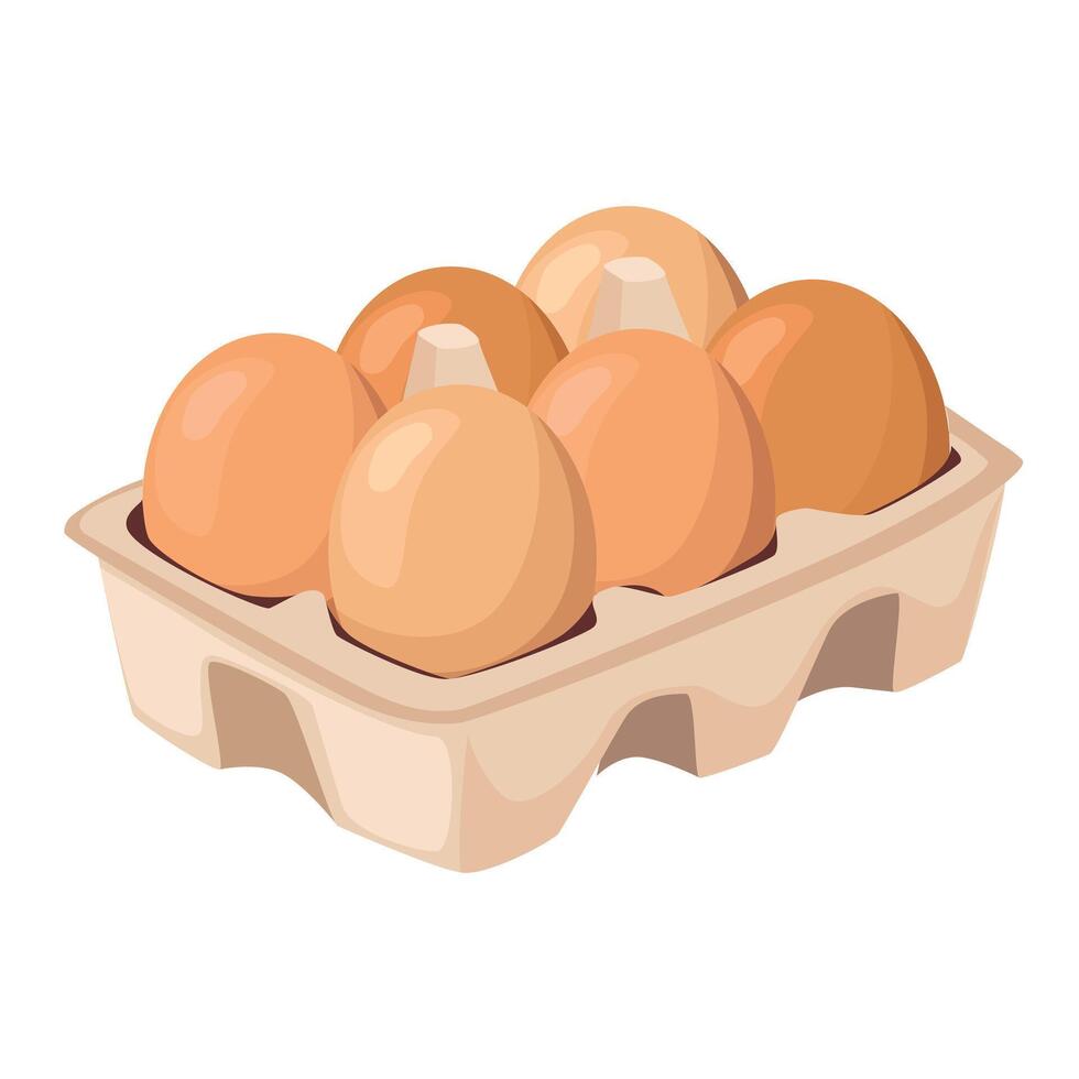 Chicken eggs in carton box. Cartoon illustration vector