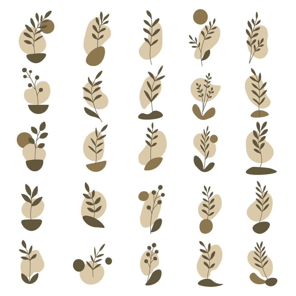 Botanical illustrations with unique plant designs vector