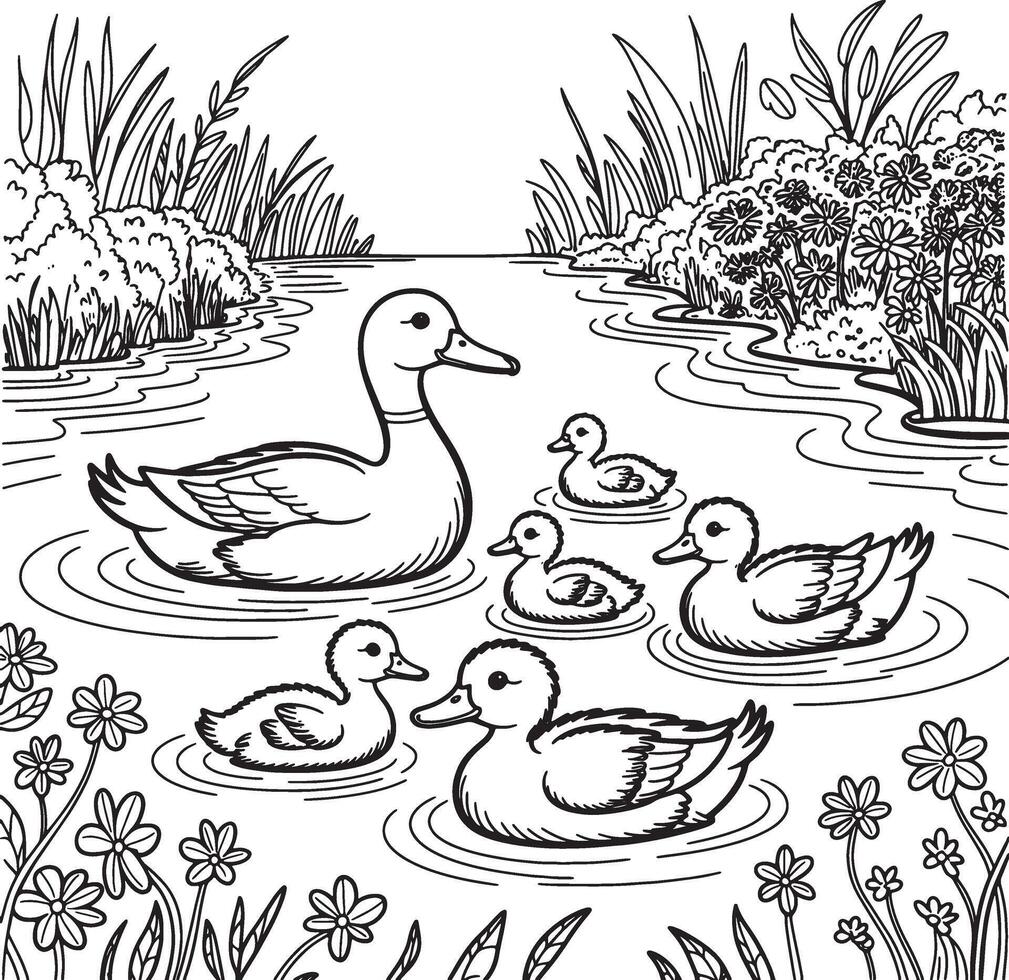 duck family in pond line art illustration premium quality vector