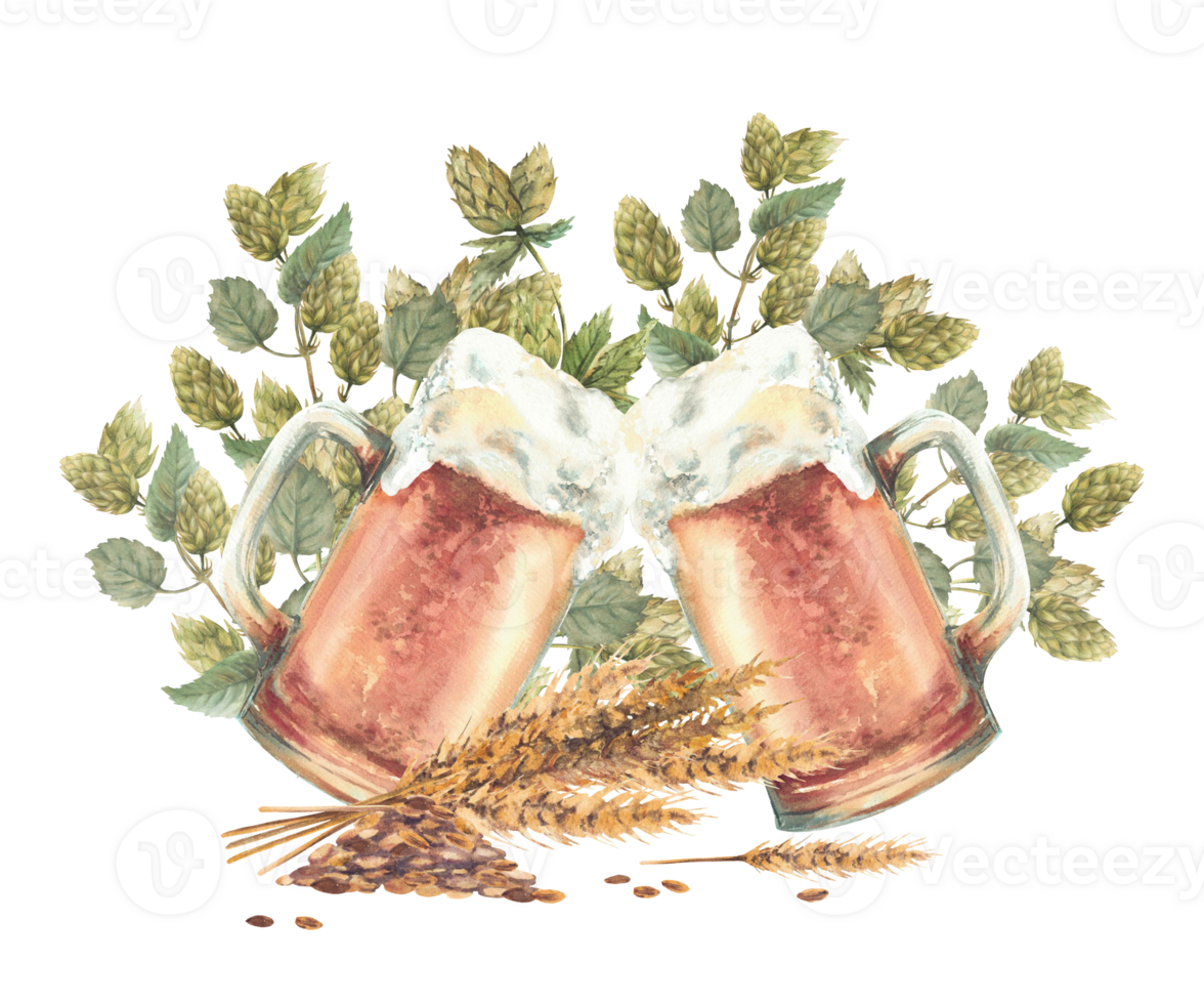 Beer mugs making cheers with ears and grains of malt and branches of hops. Hand drawn watercolor two glasses of light beer toasting. Isolated from background clipart for natural brewery, bar, pub menu png