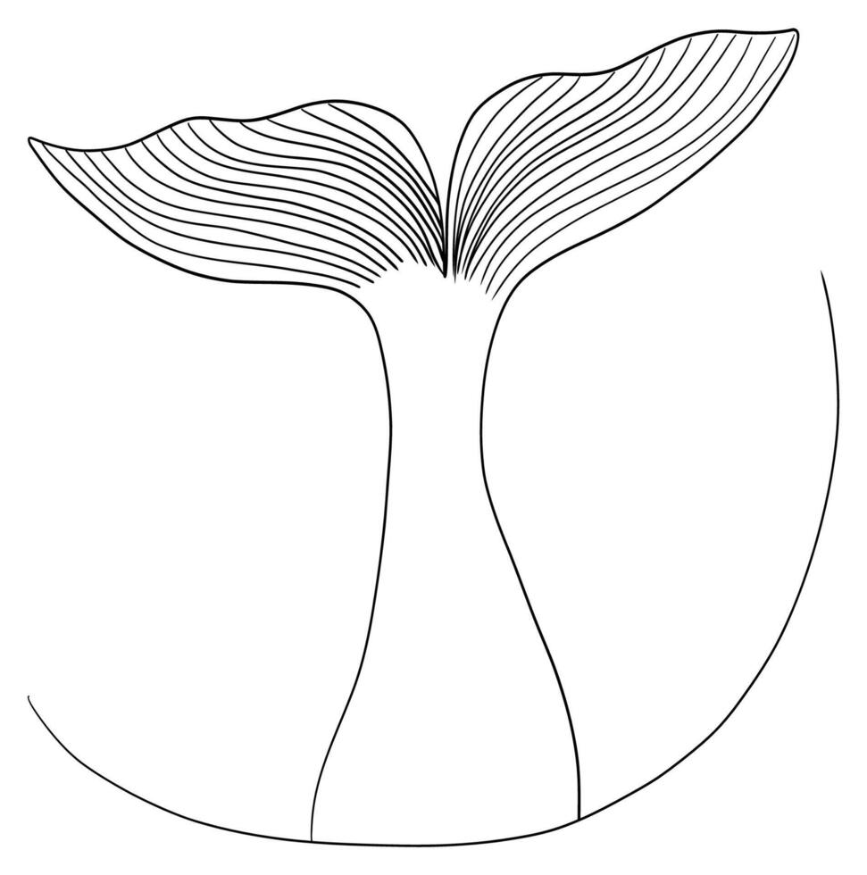 One line sketch of whale tail minimalist hand drawn ocean animal contour illustration vector