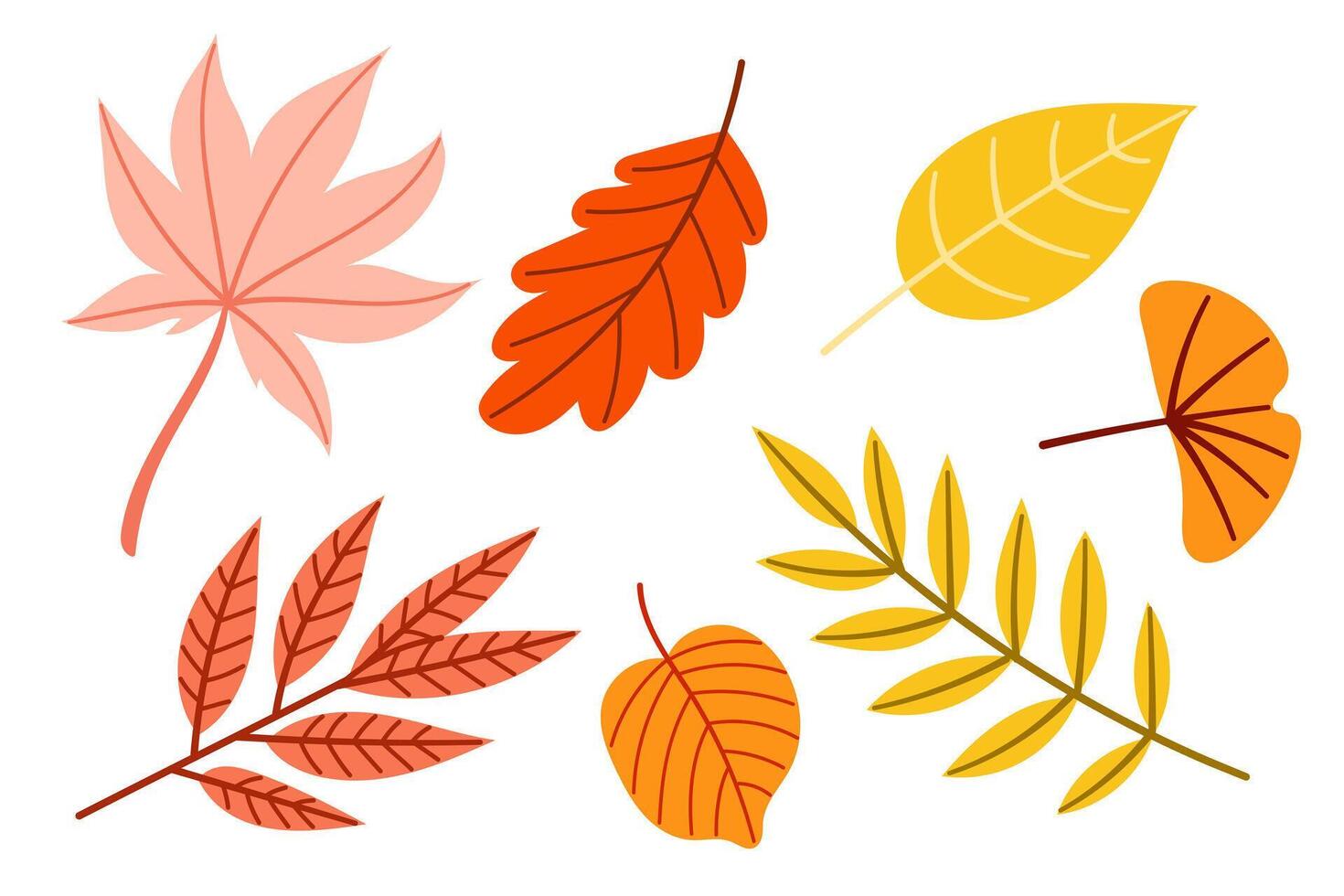 Colorful Set of Autumn Leaves vector