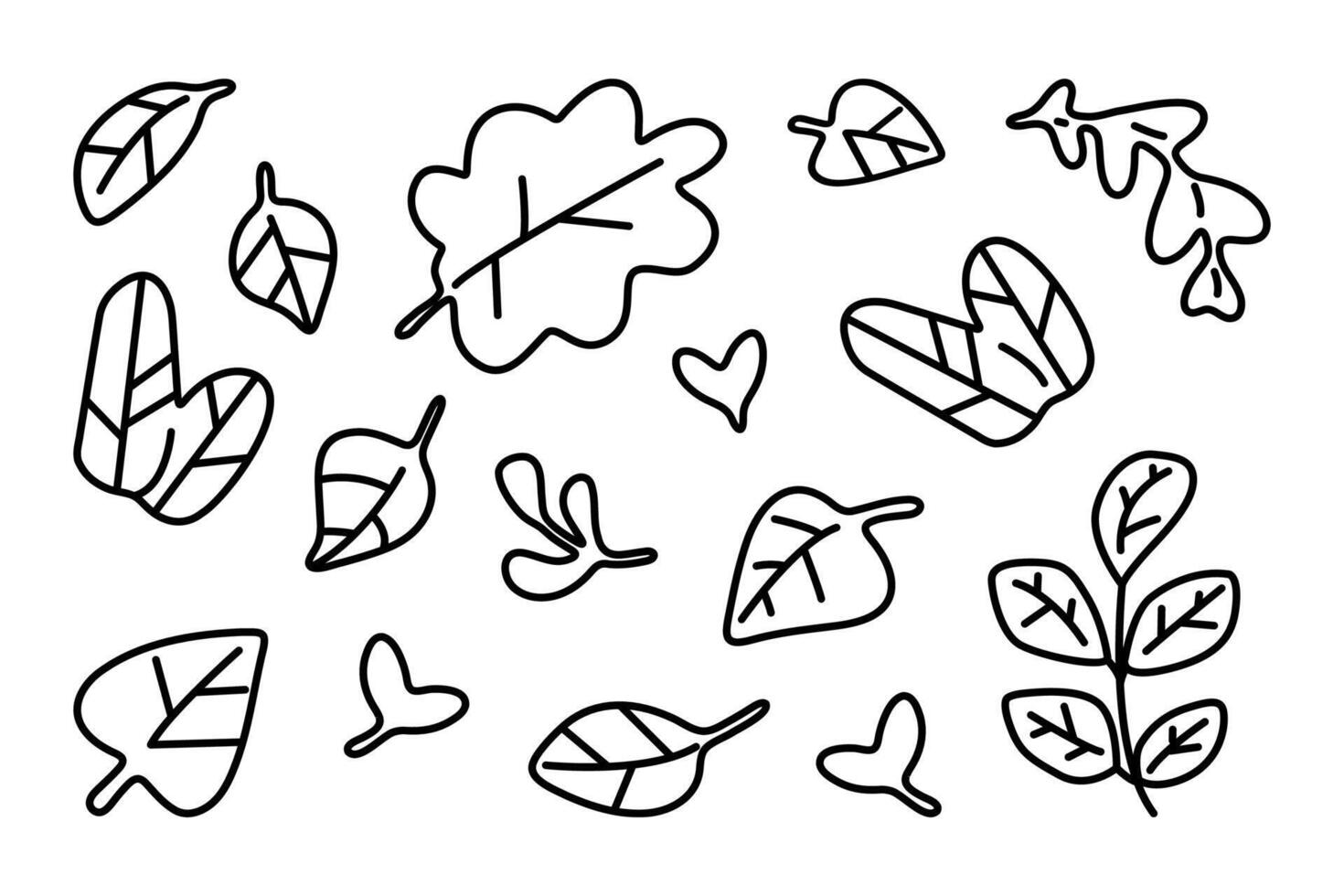 Autumn Leaves Outline Drawing Set vector
