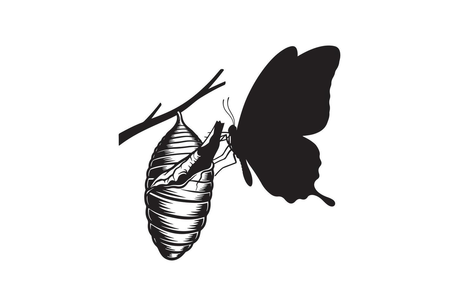 Butterfly Emerging from Chrysalis Silhouette Illustration New Butterfly Birth Silhouette Design vector