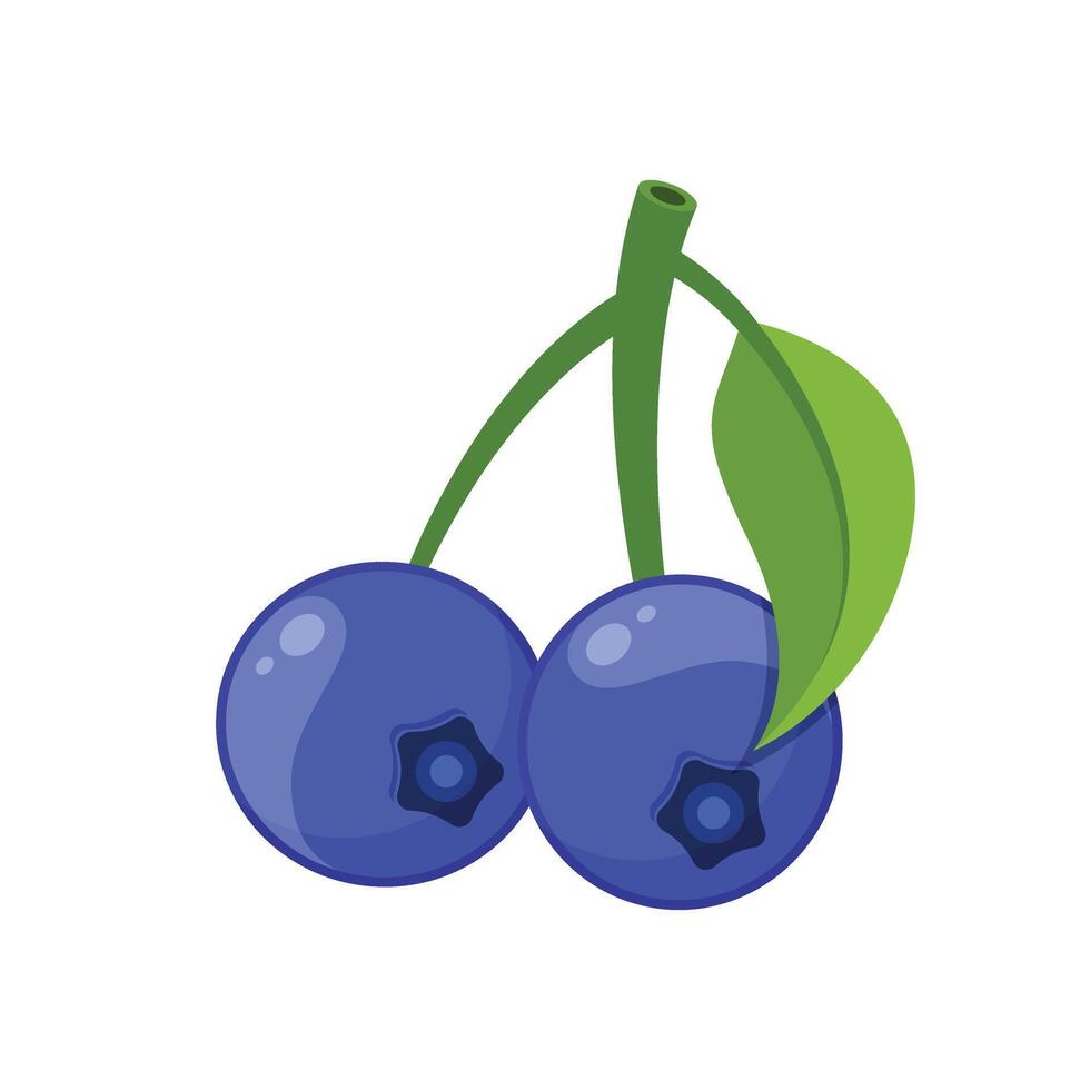 Blueberry fruit icon illustration vector