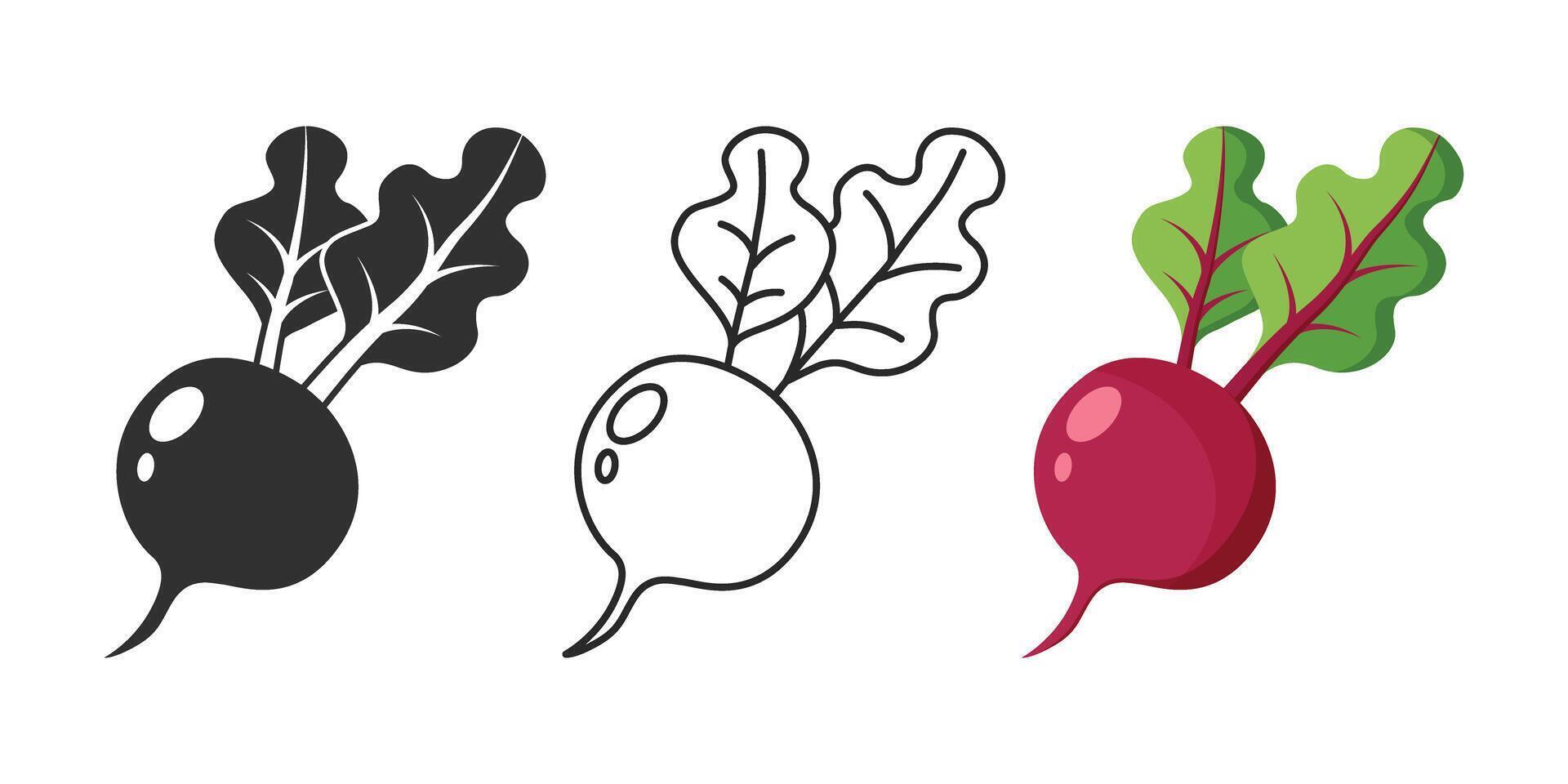 A black and white illustration of a beetroot vector