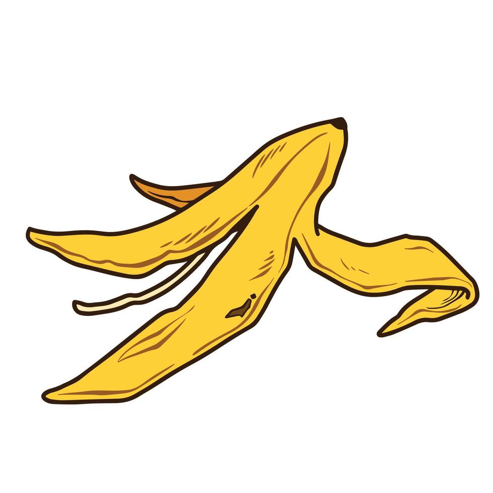 Yellow banana peel outlined illustration isolated on white background. vector