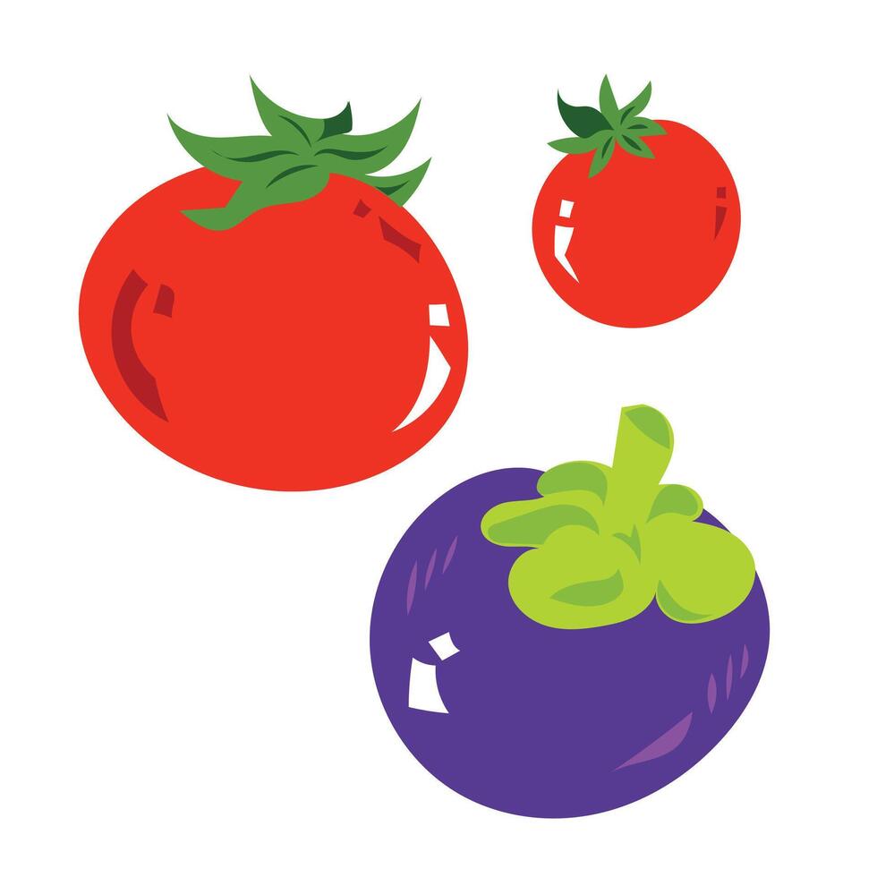 Tomatoes and mangosteen raw healthy yummy food colorful simple illustration drawing isolated on square white background. vector