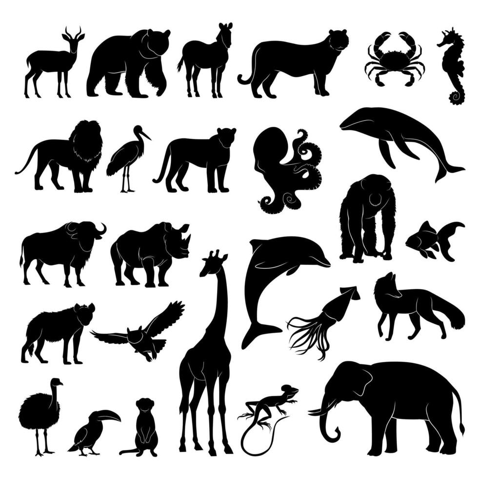 A variety of animal silhouettes including mammals, birds, reptiles, and sea creatures, all shown in black on a white background. vector