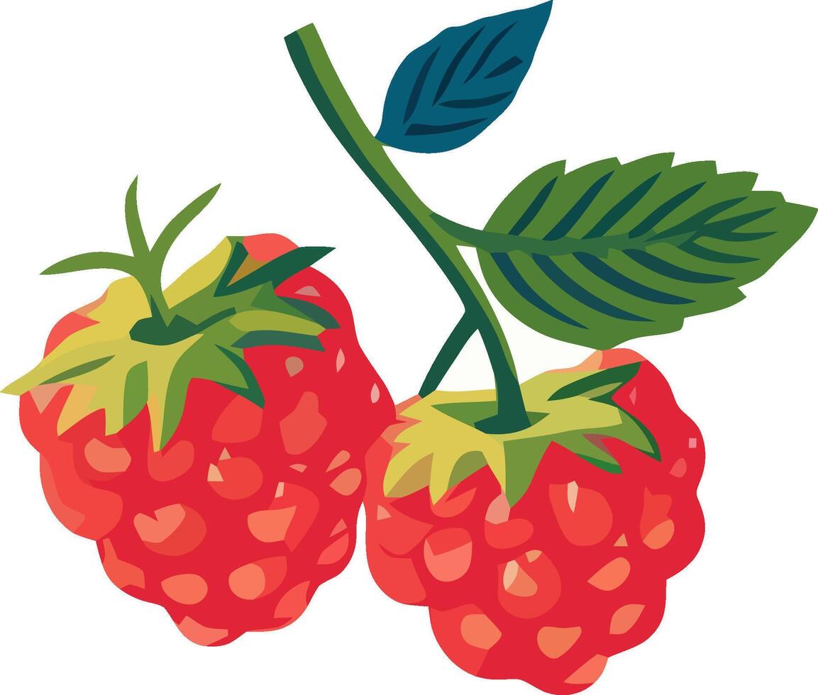 Ripe raspberries hanging from their green stems against a simple background vector
