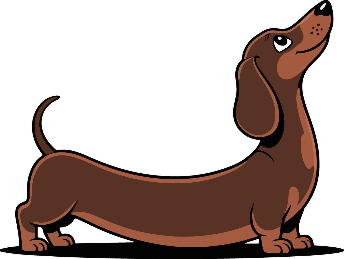 A cartoon dachshund standing up with its head up vector