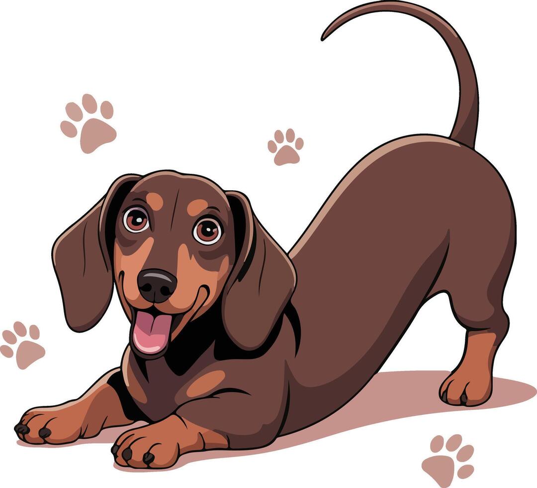 A cartoon dachshund dog with paw prints vector