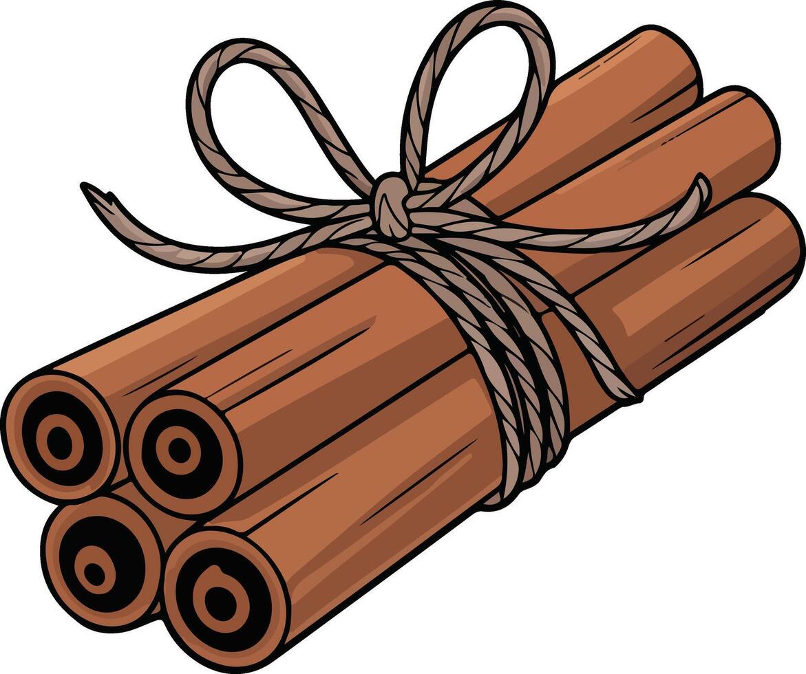 Cinnamon sticks with rope on a white background vector