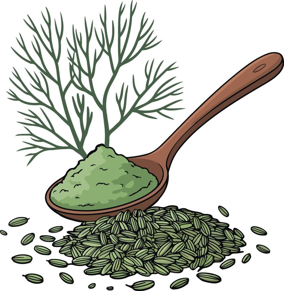 Green dill seeds and dill plant illustration vector