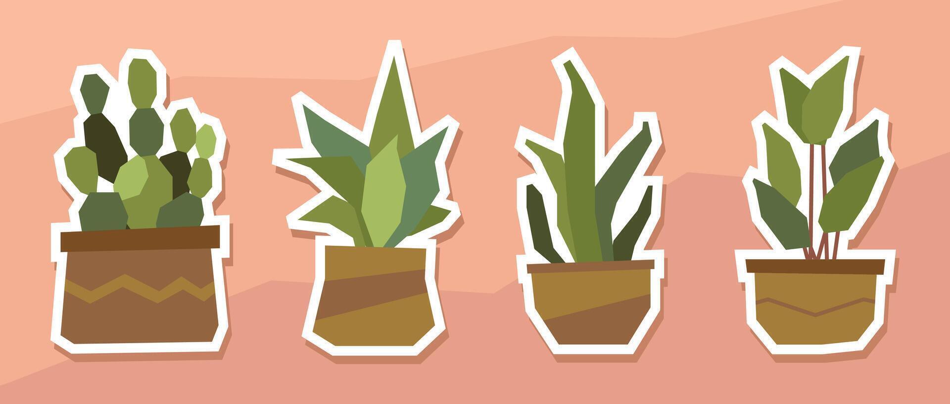Stylish potted plants in pots vector