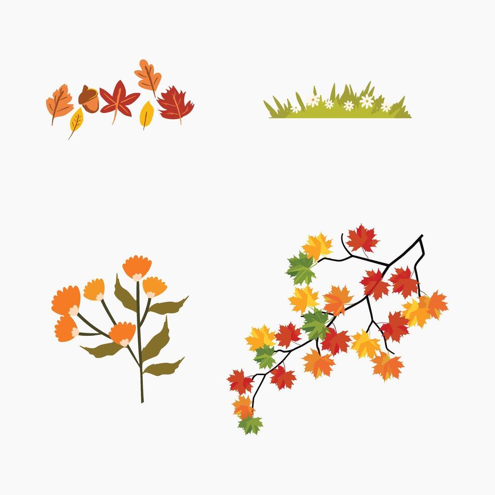 Autumn leaves and floral elements collection. vector