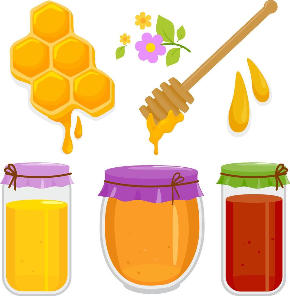 Honey with honey jars, honeycomb and honey dipper. Jar full of fresh honey, wooden stick and honeycombs. Sweet pure honey. vector