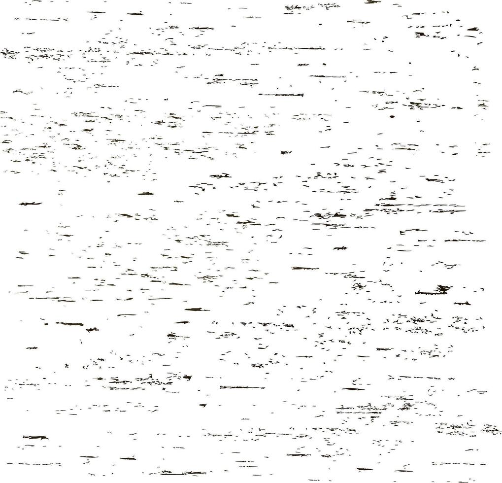 Grunge pattern. Ink stains. Paint splashes on white background. Rough background. Black pattern. vector