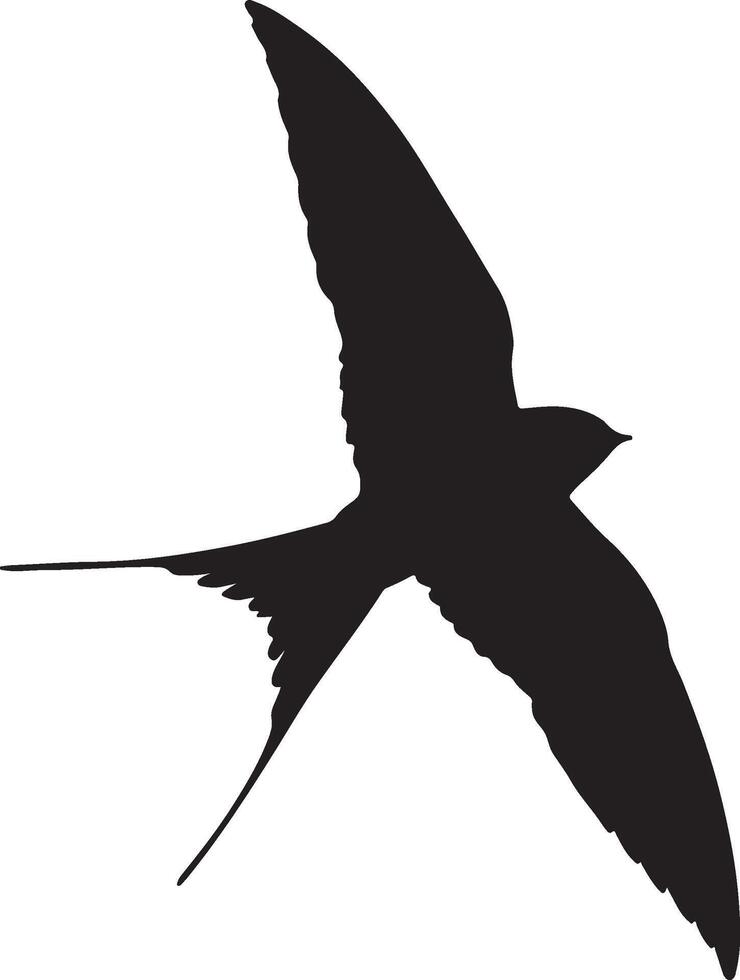 Flying Swallow Silhouette Isolated on White vector