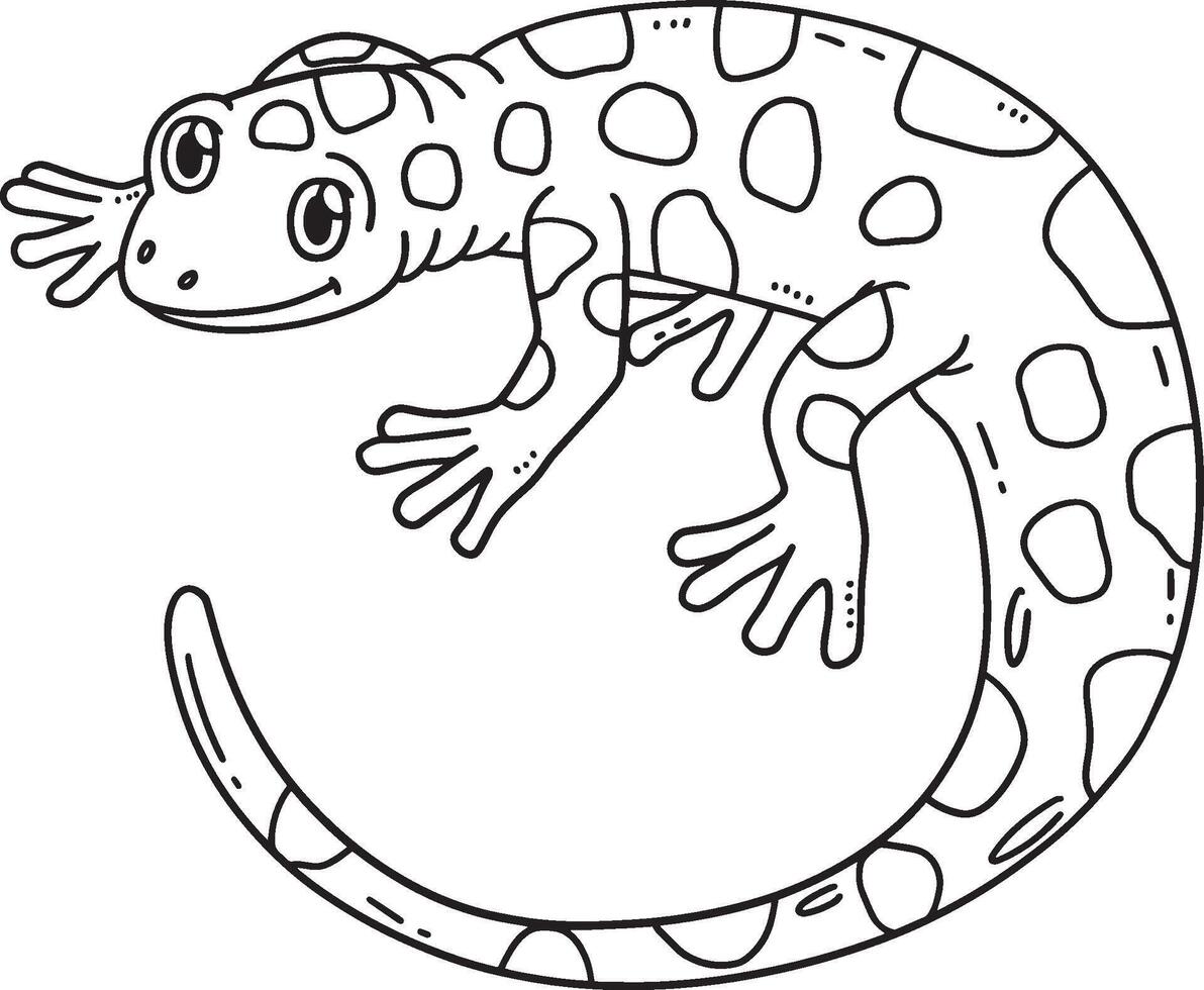 Forest Animal Salamander Isolated Coloring Page vector