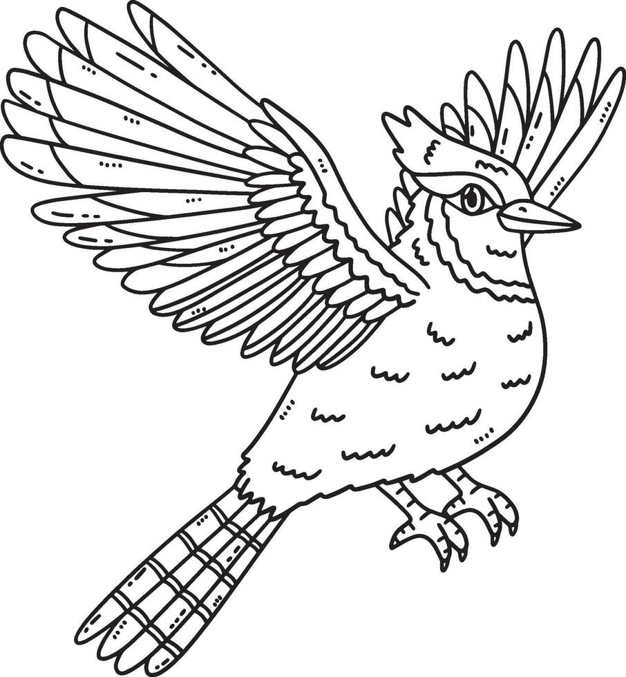 Forest Animal Jay Bird Isolated Coloring Page vector