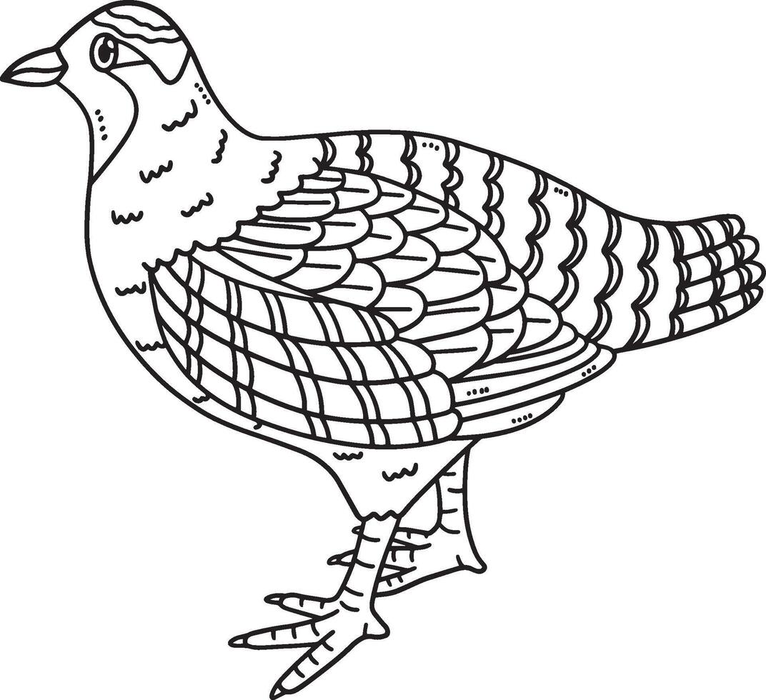Forest Animal Partridge Isolated Coloring Page vector