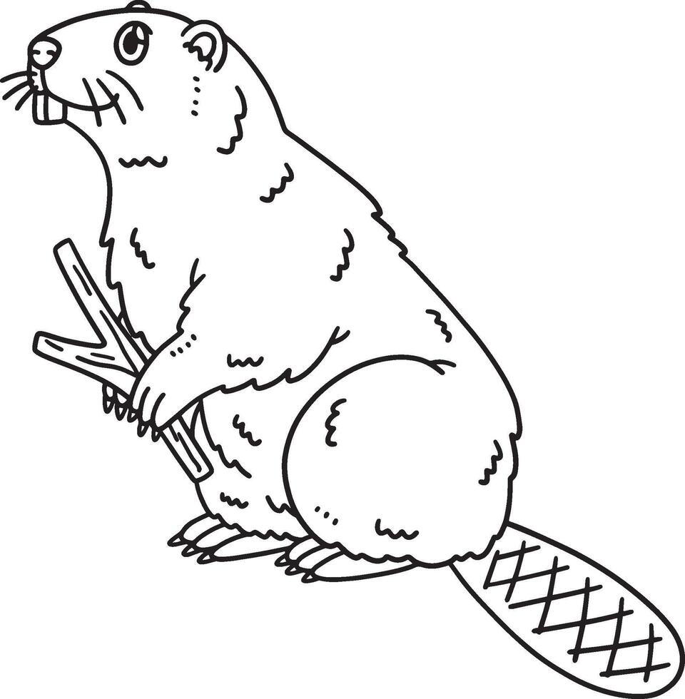 Forest Animal Beaver Isolated Coloring Page vector
