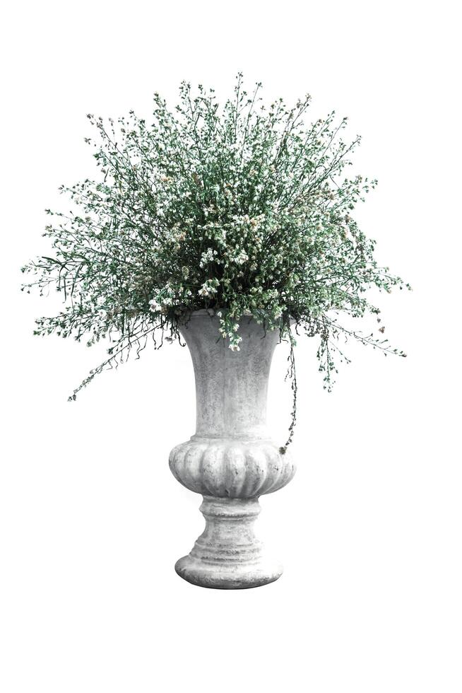 dry flower in vase concrete isolated on white background, decorated artificial flower in flowerpot. photo