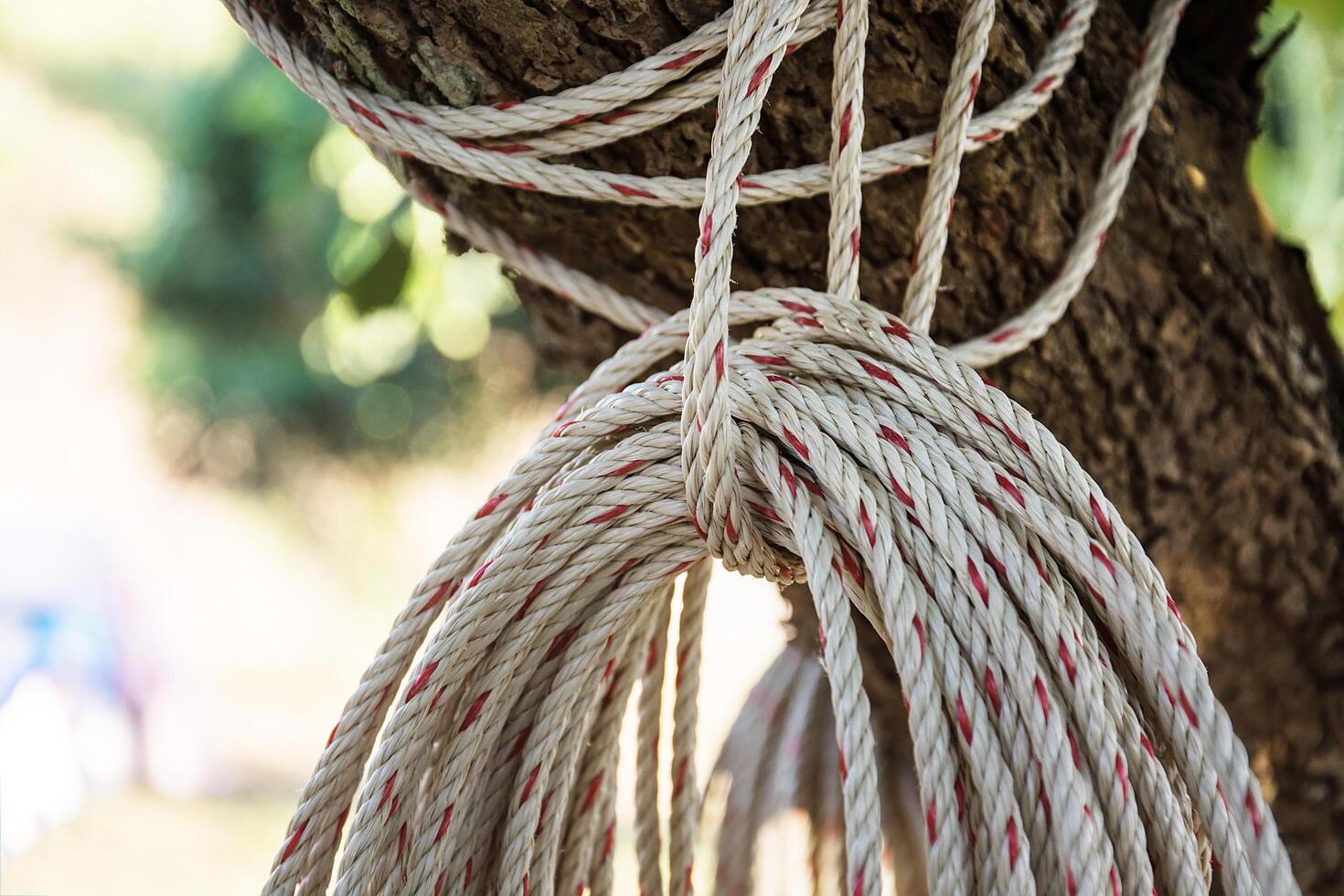 Old rope closeup, Twisted thick rope. photo