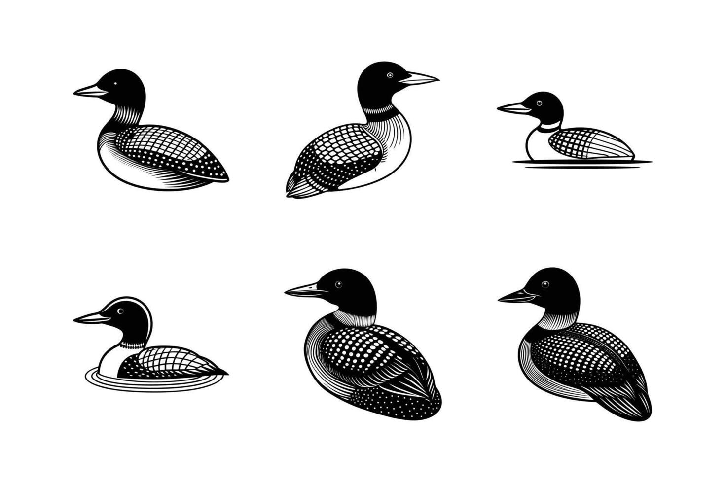 Premium collection. Silhouette icon Loon set on white background. vector