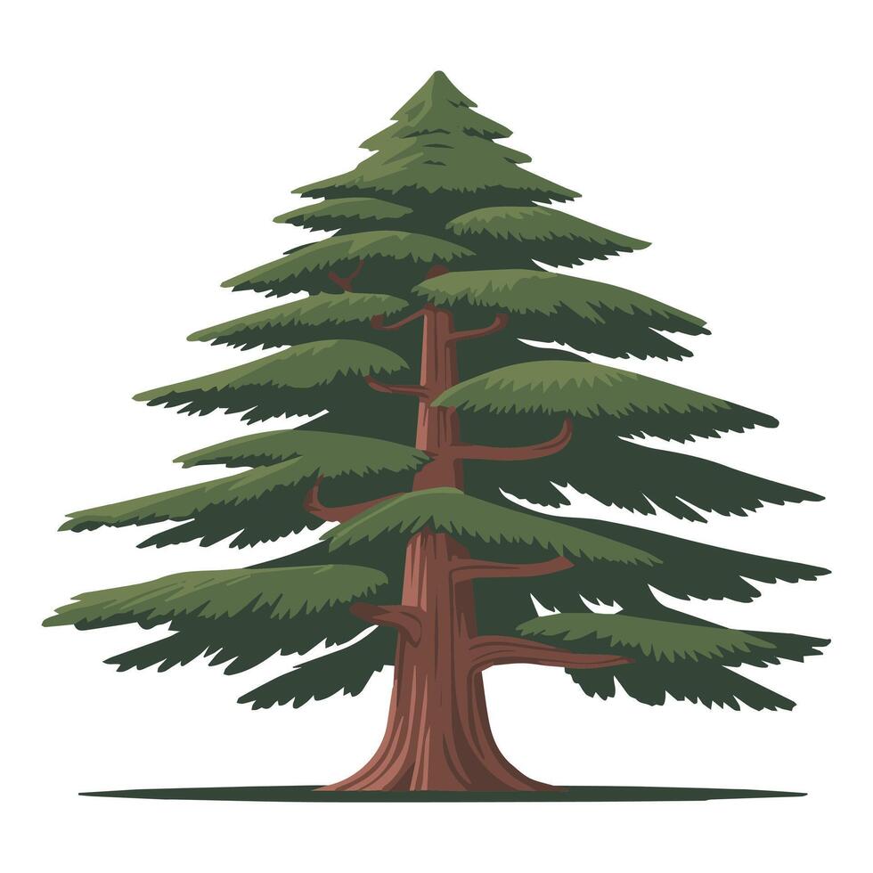 Tall Cedar Tree with Layered Green Branches and Textured Trunk vector