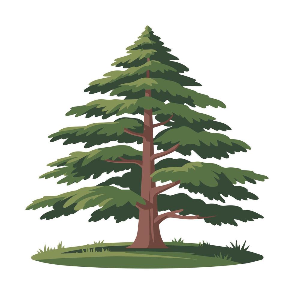 Cedar Tree Illustration with Dense Green Foliage and Brown Trunk vector