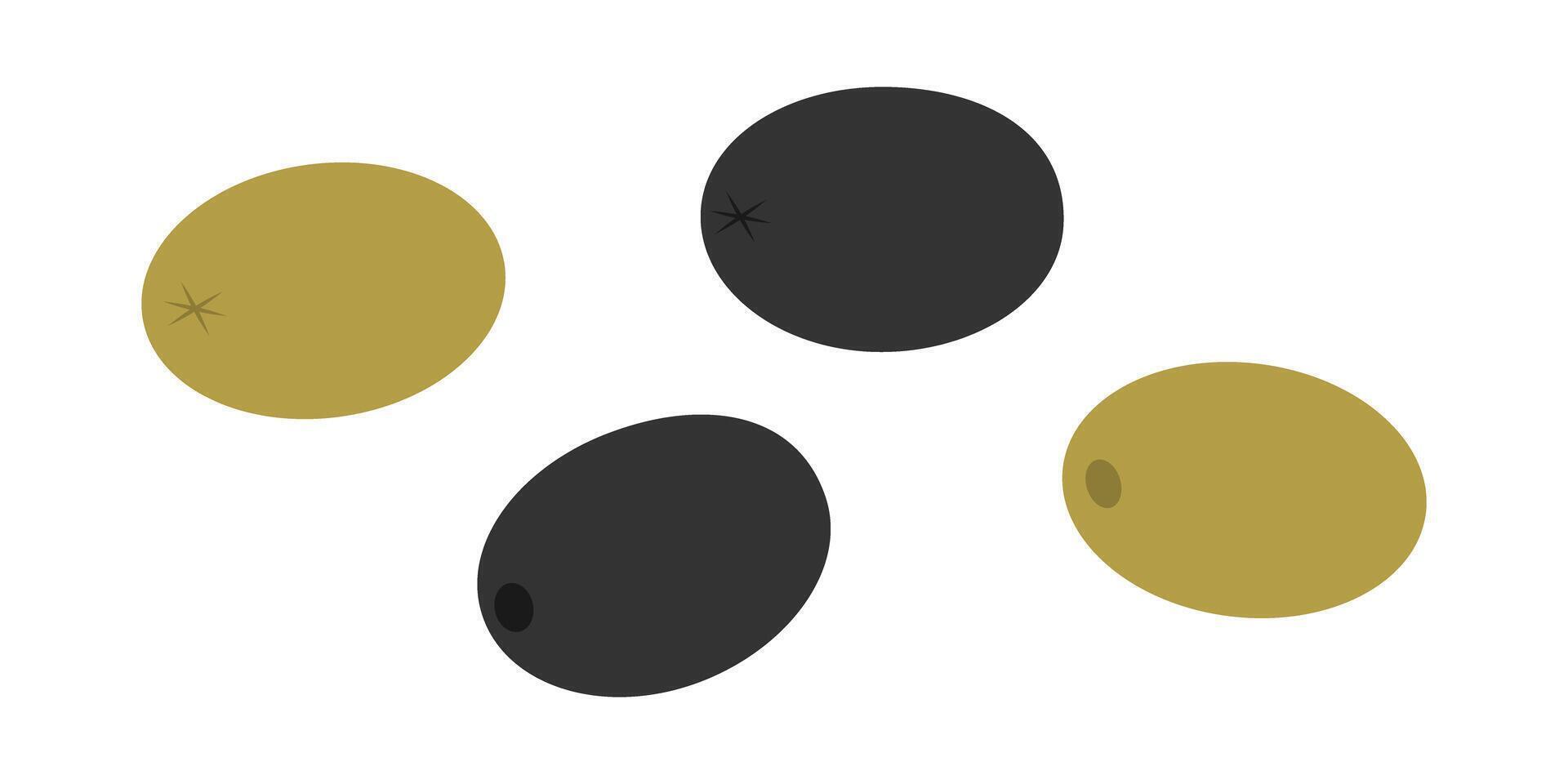 Olives Black and Green Fruit Front and Back view Greek salad Traditional ingredient freehand element. Isolated illustration Food Themes Cards, menu, poster or banner, leaflets, label, price tag vector