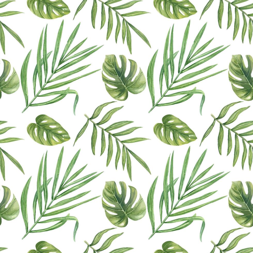 Tropical leaves watercolor seamless pattern isolated background. Hand painted monstera, philodendron, areca palm leaf illustration for wallpaper, textile design, packaging, summer decor vector