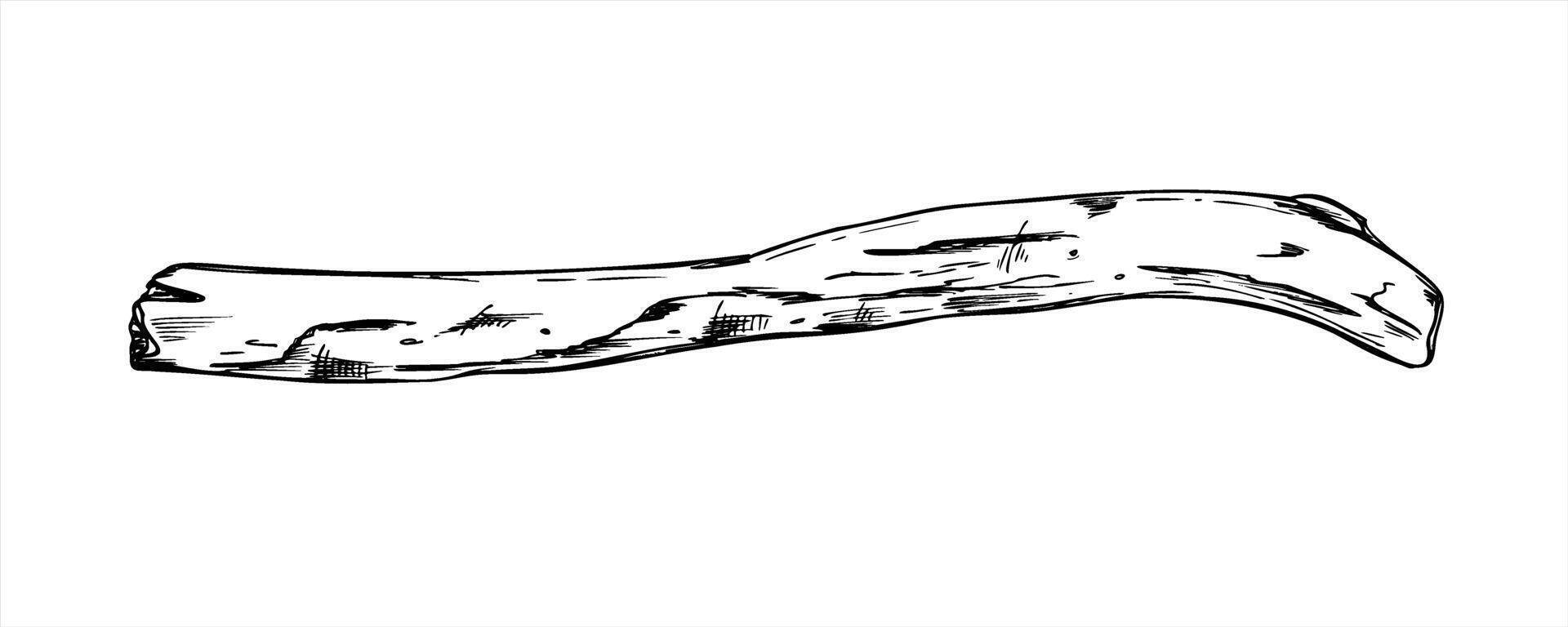 Dried cleaned old wooden stick or branch monochrome illustration painted by black inks. Decorative element graphic sketch for rustic decor, eco friendly packaging, and nature designs. vector