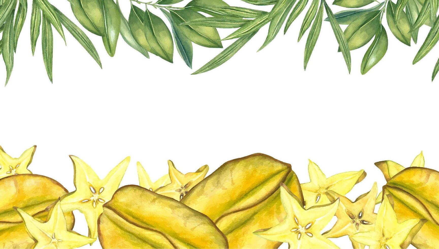 Watercolor starfruit, leaves horizontal watercolor frame isolated background. Tropical yellow carambola illustration with empty space for text. Template for food packaging, healthy lifestyle designs vector