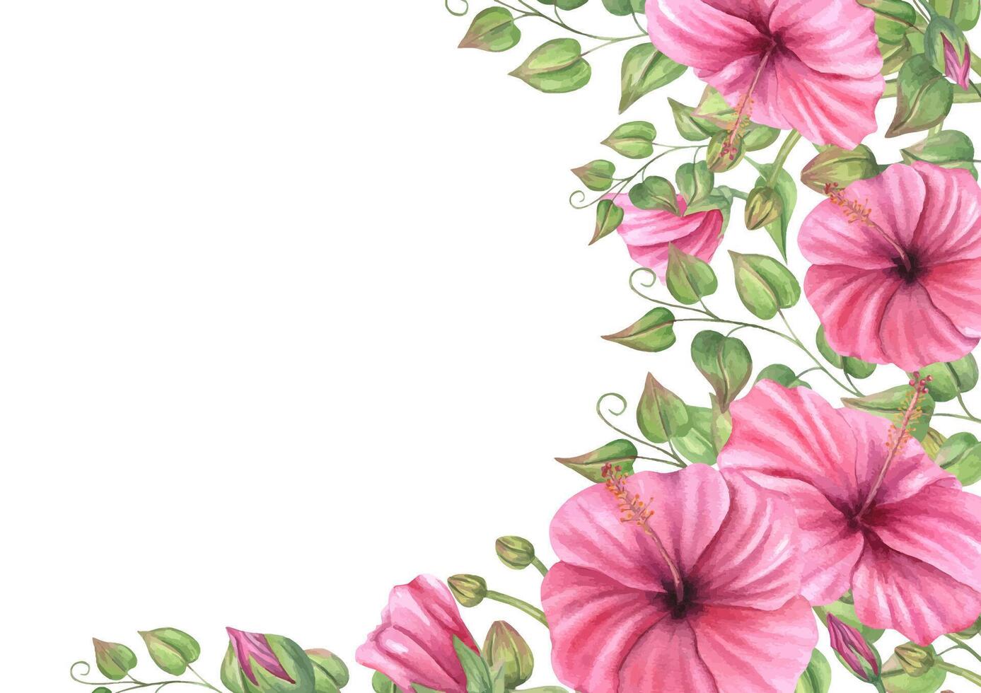 Watercolor pink hibiscus with orchid buds and climbing plants square border isolated background. Hand painted flowers frame with copy space for text. For invitations, greeting cards, packaging vector