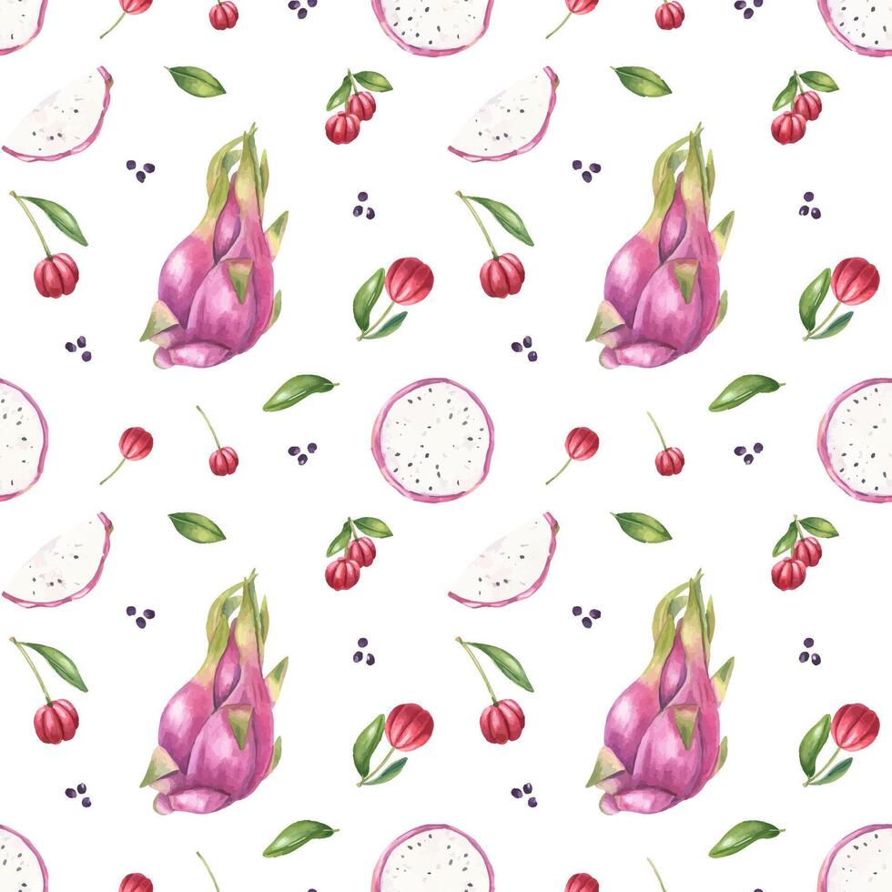dragon fruit berry pattern design vector