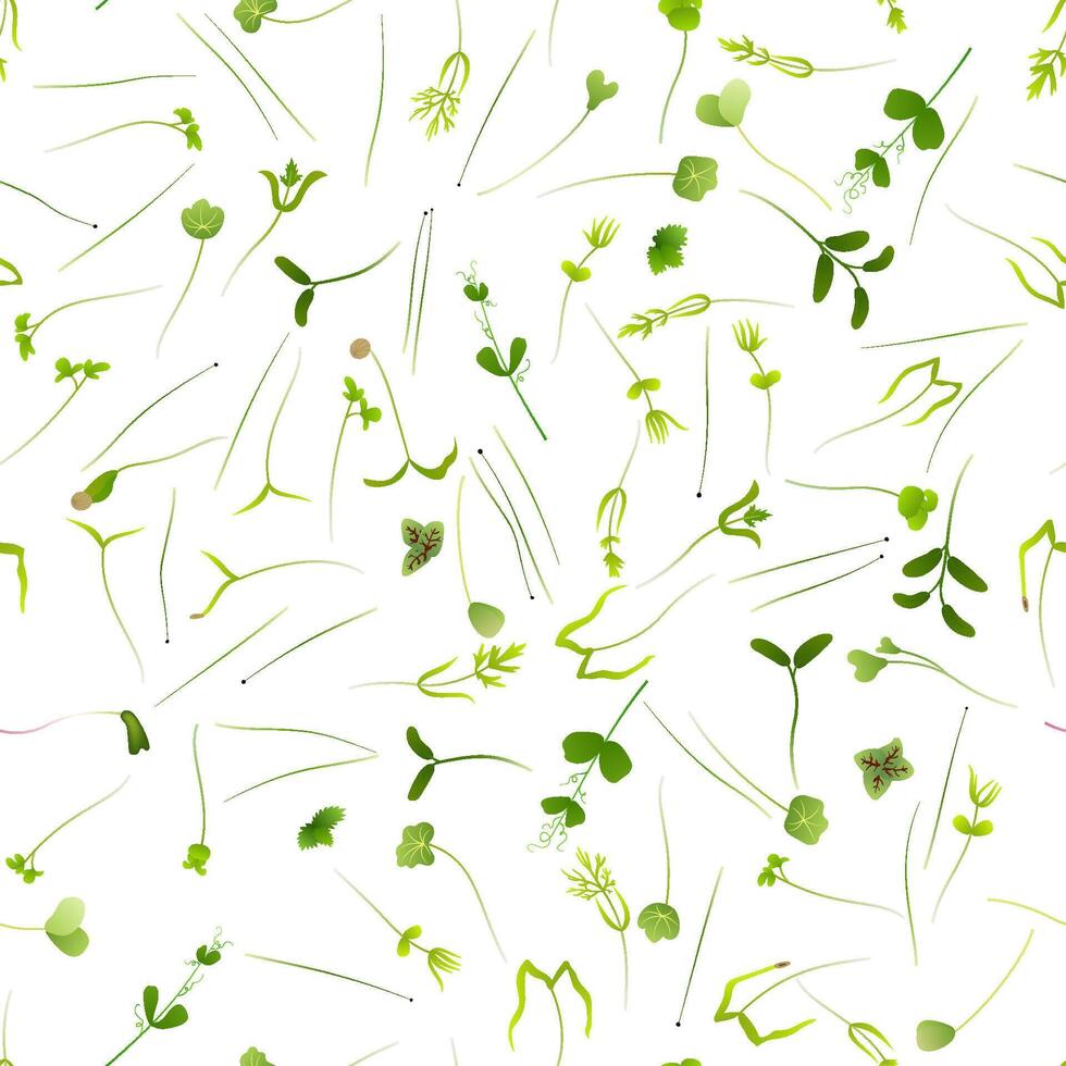 Microgreens creating a seamless pattern of small, edible greens with cotyledons and first true leaves, perfect for backgrounds and textiles related to healthy living vector