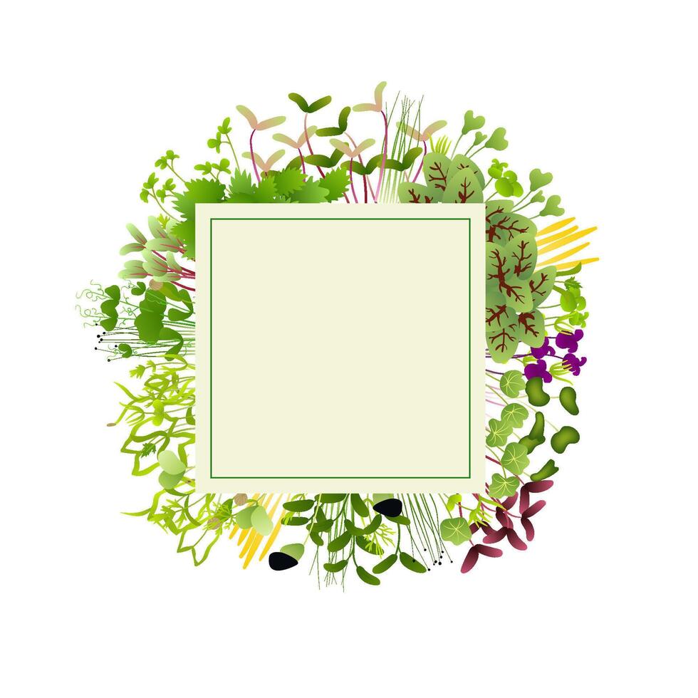 Microgreens in various colors and shapes arranged in a circle around a square frame create a vibrant design highlighting their nutritional benefits vector
