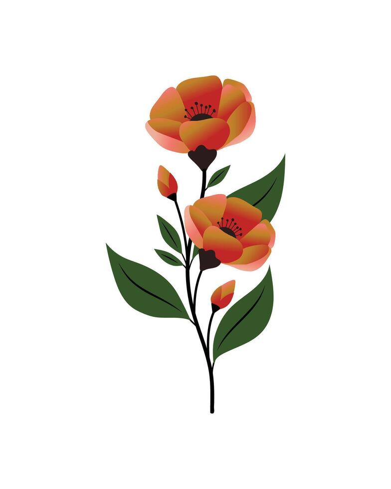 Hand Drawn Beautiful Spring and Summer Flowers Decorations vector